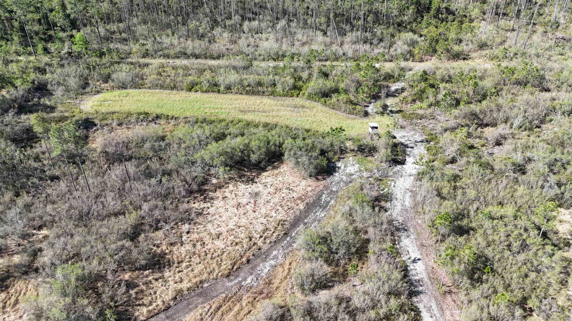 0000 Madison Main Line Road , Greenville, FL 32331 Photo