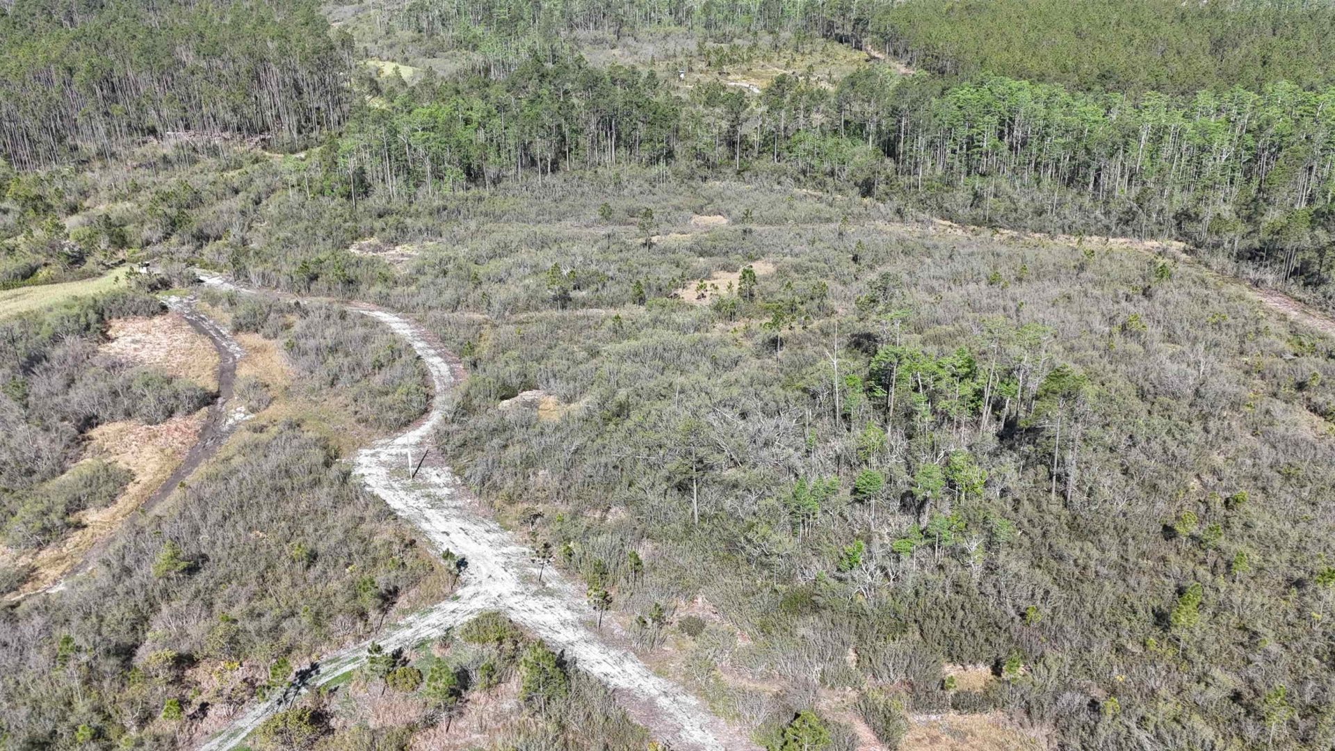 0000 Madison Main Line Road , Greenville, FL 32331 Photo