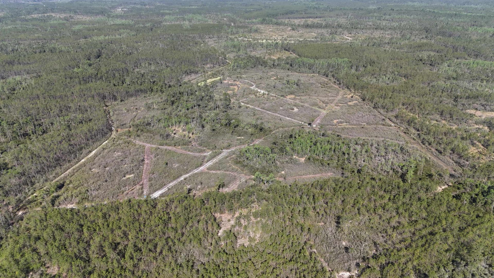 0000 Madison Main Line Road , Greenville, FL 32331 Photo