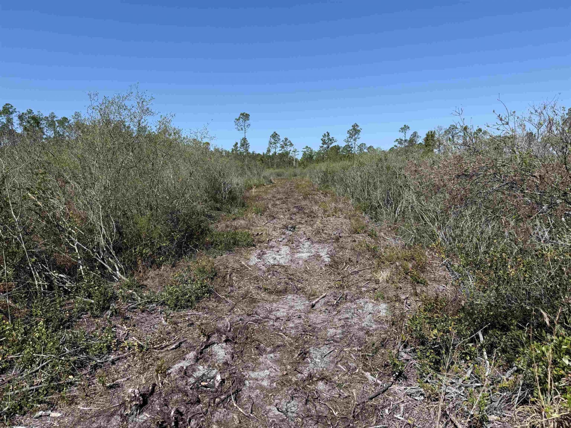 0000 Madison Main Line Road , Greenville, FL 32331 Photo