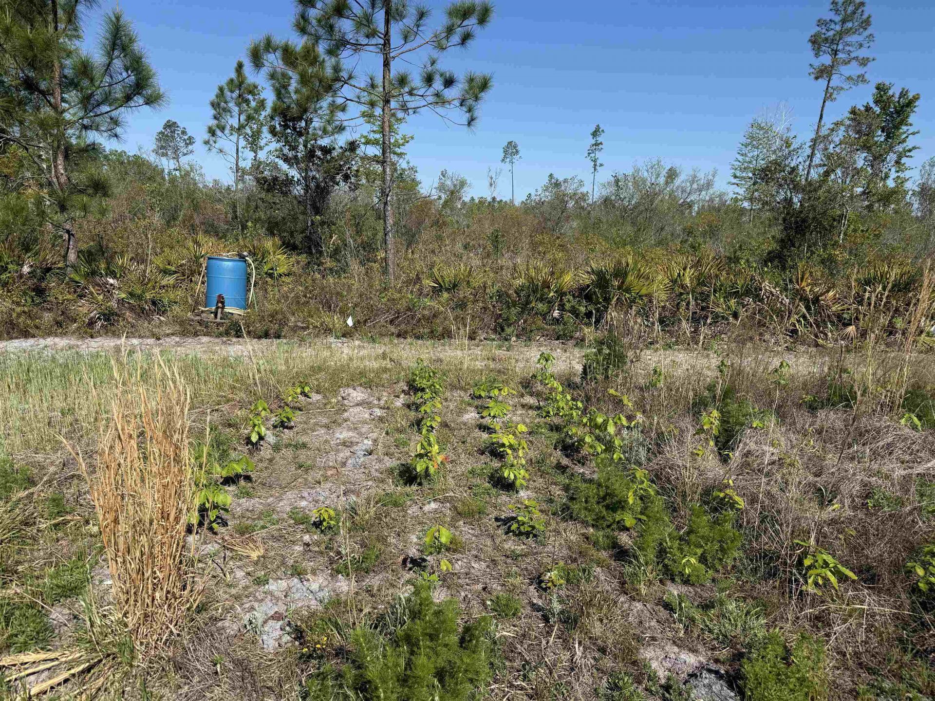 0000 Madison Main Line Road , Greenville, FL 32331 Photo