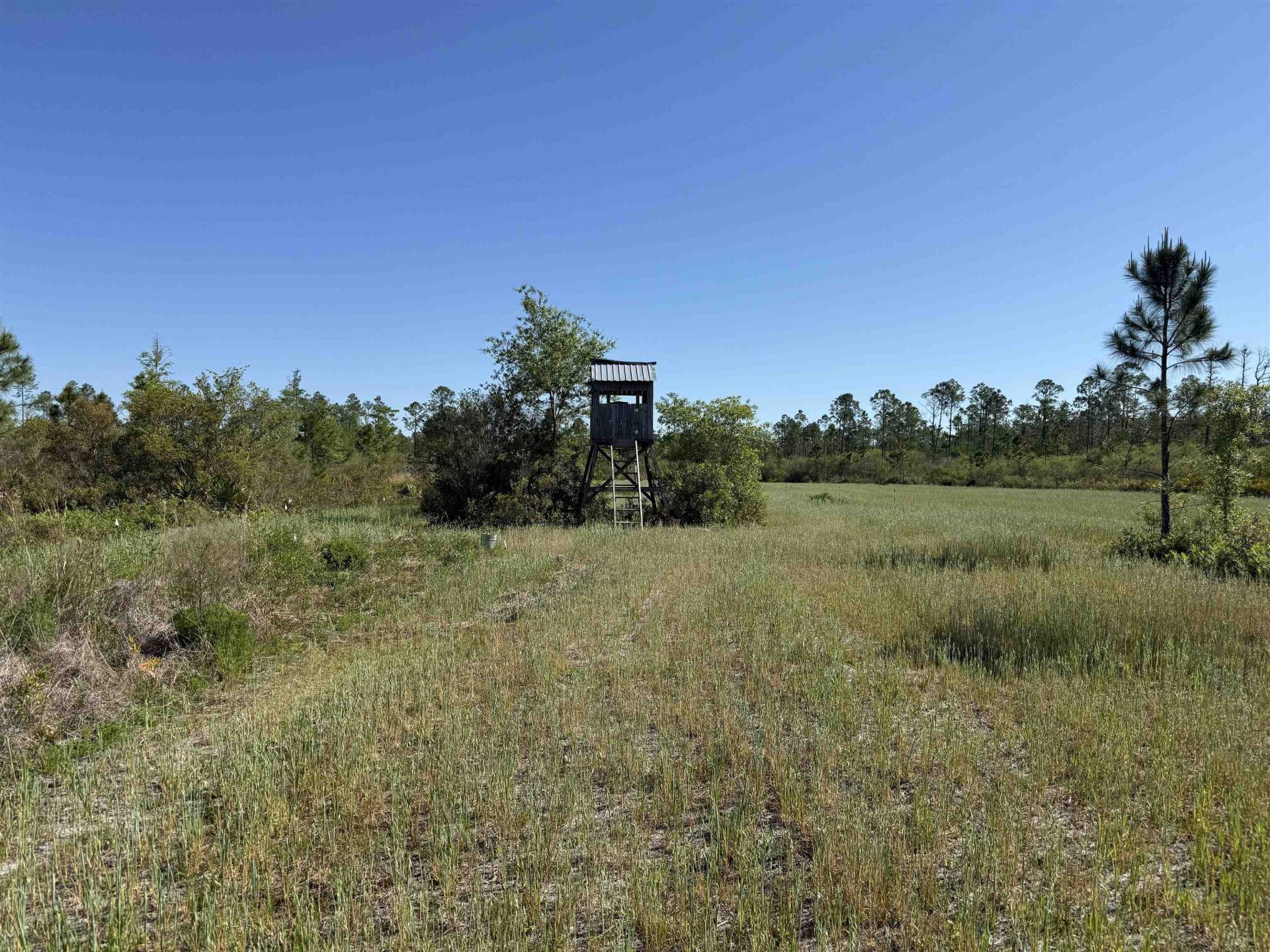 0000 Madison Main Line Road , Greenville, FL 32331 Photo