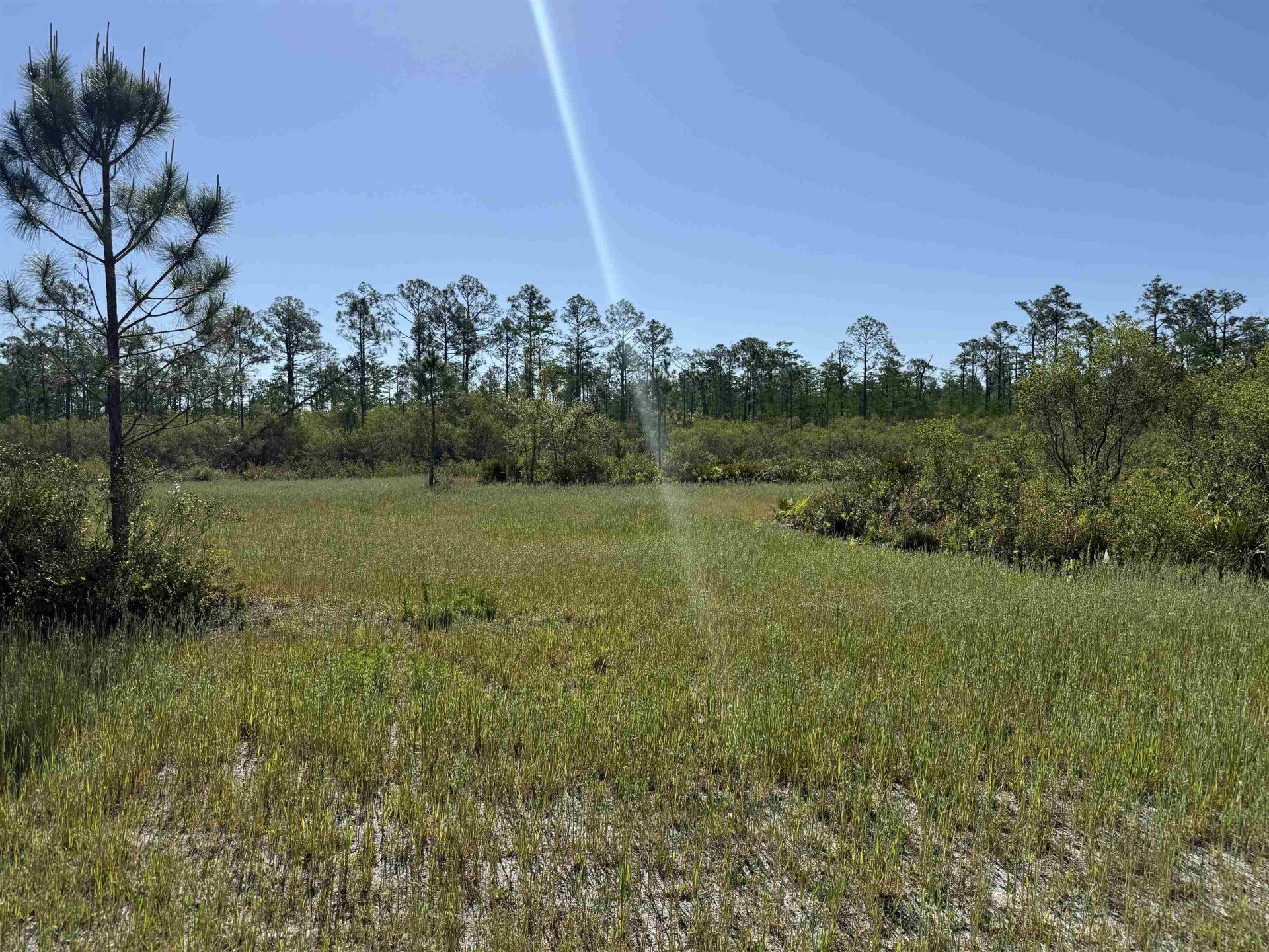 0000 Madison Main Line Road , Greenville, FL 32331 Photo