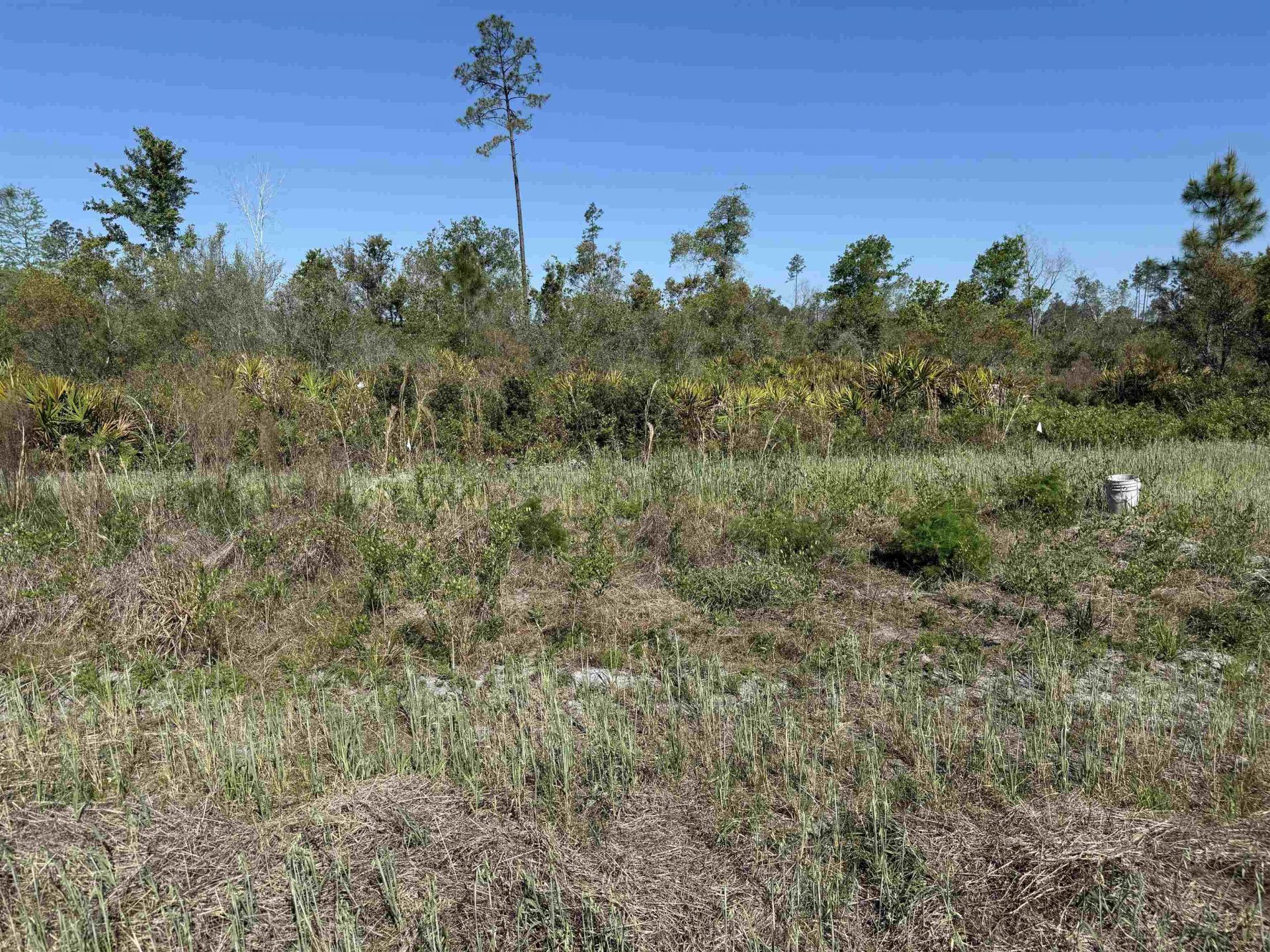 0000 Madison Main Line Road , Greenville, FL 32331 Photo