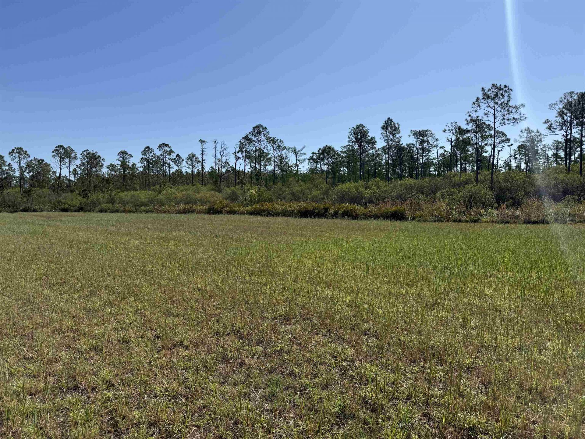 0000 Madison Main Line Road , Greenville, FL 32331 Photo