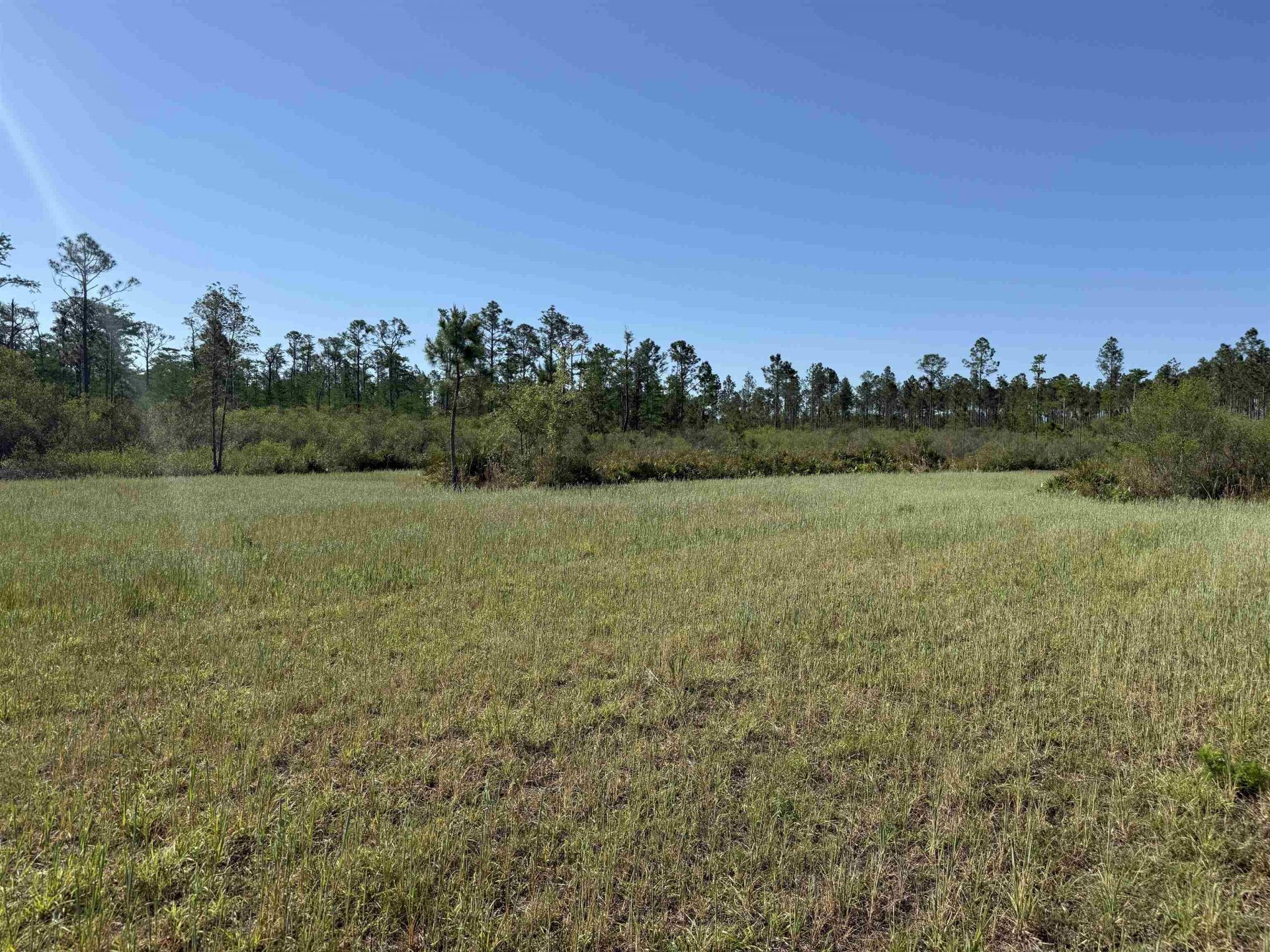 0000 Madison Main Line Road , Greenville, FL 32331 Photo