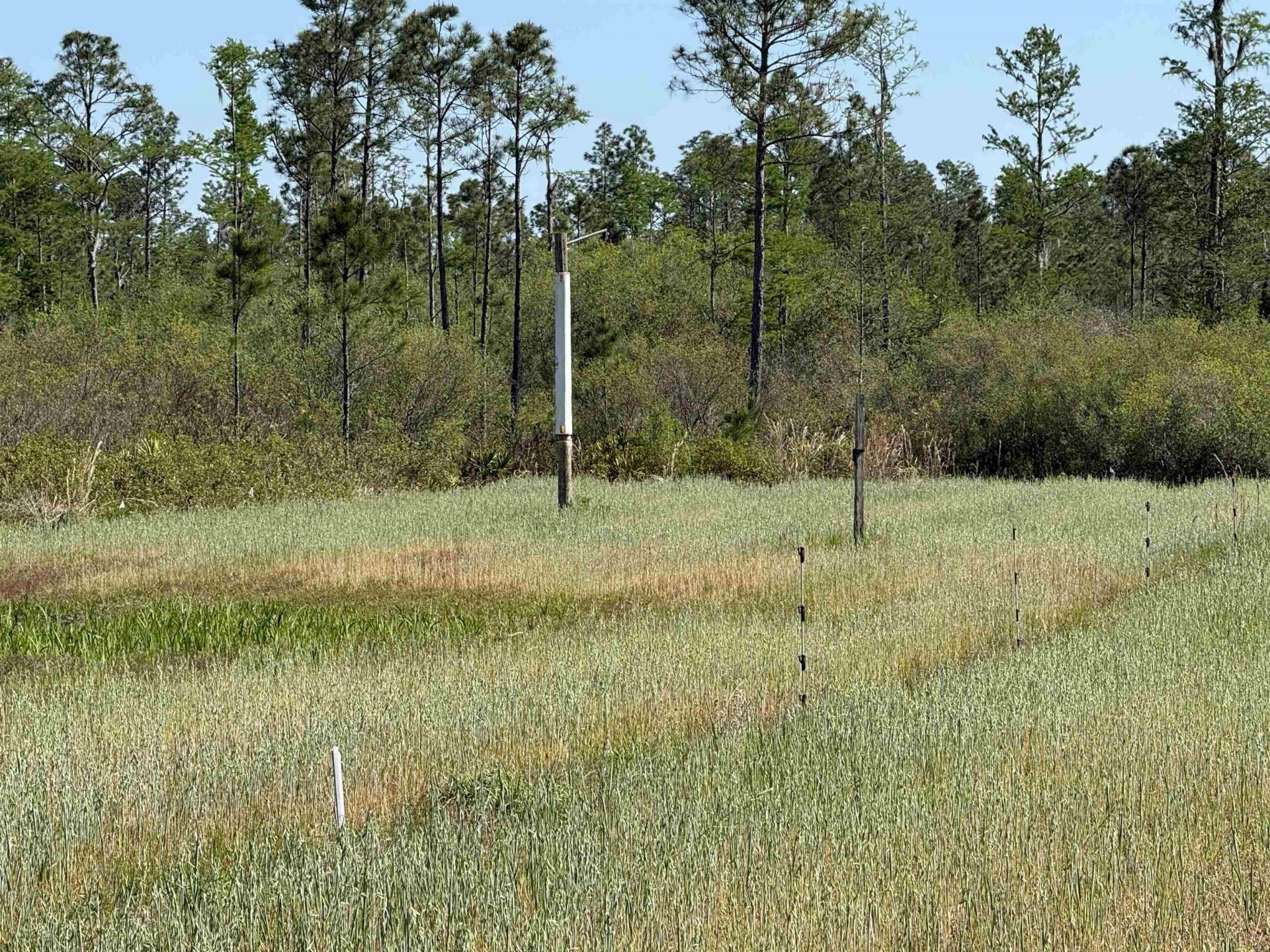 0000 Madison Main Line Road , Greenville, FL 32331 Photo