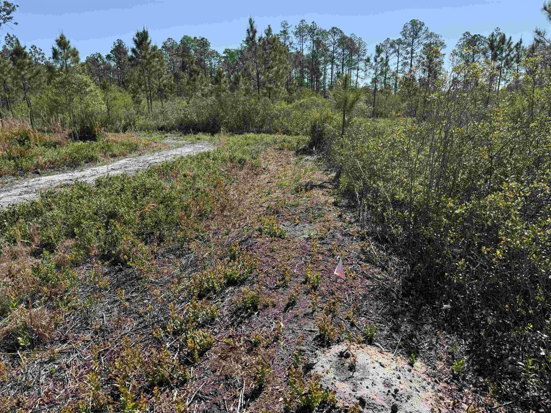 0000 Madison Main Line Road , Greenville, FL 32331 Photo