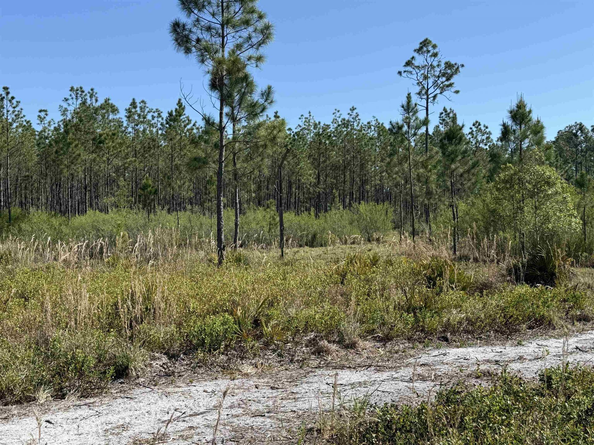 0000 Madison Main Line Road , Greenville, FL 32331 Photo