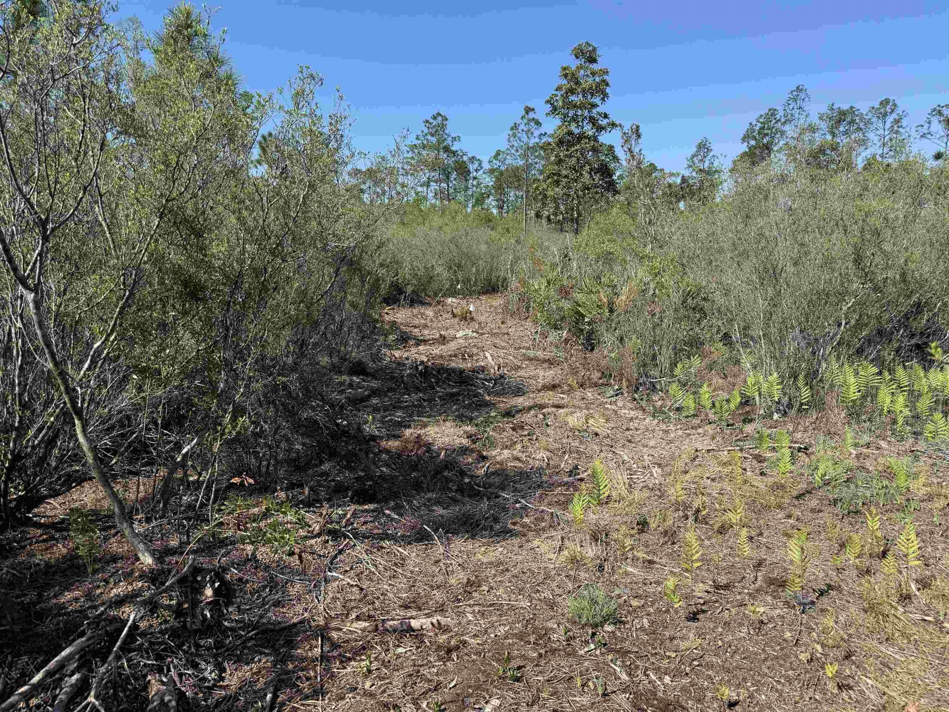 0000 Madison Main Line Road , Greenville, FL 32331 Photo