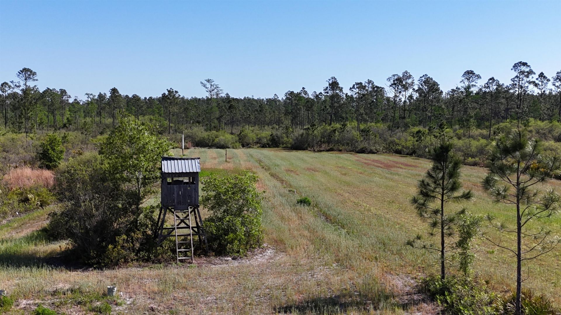 0000 Madison Main Line Road , Greenville, FL 32331 Photo