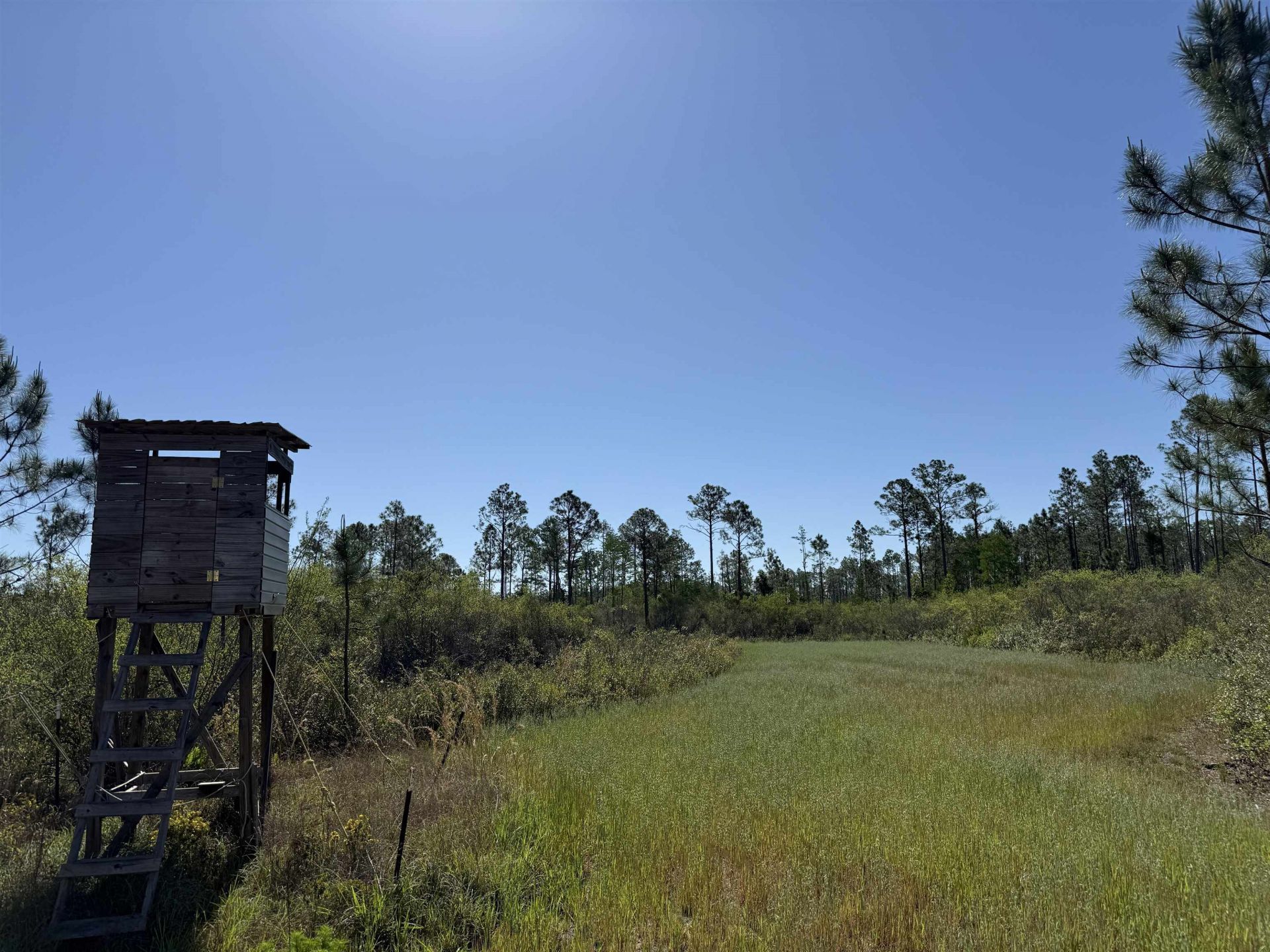 0000 Madison Main Line Road , Greenville, FL 32331 Photo