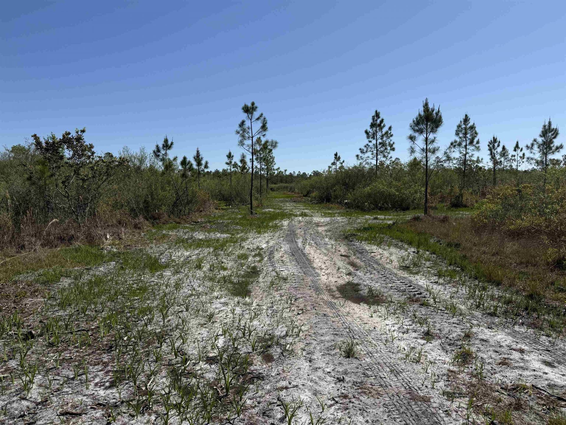 0000 Madison Main Line Road , Greenville, FL 32331 Photo