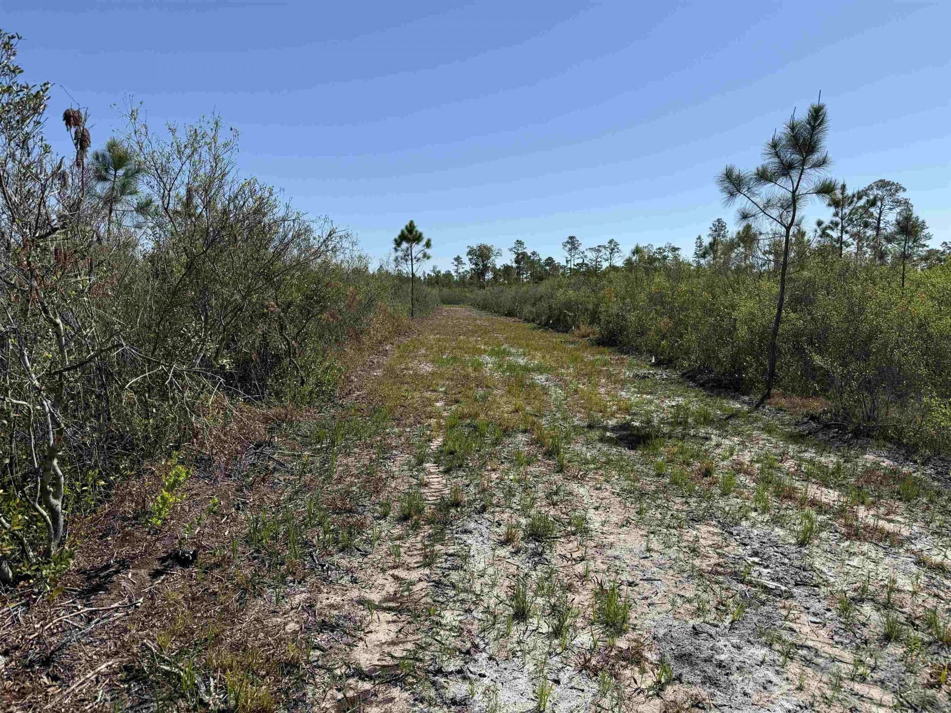 0000 Madison Main Line Road , Greenville, FL 32331 Photo