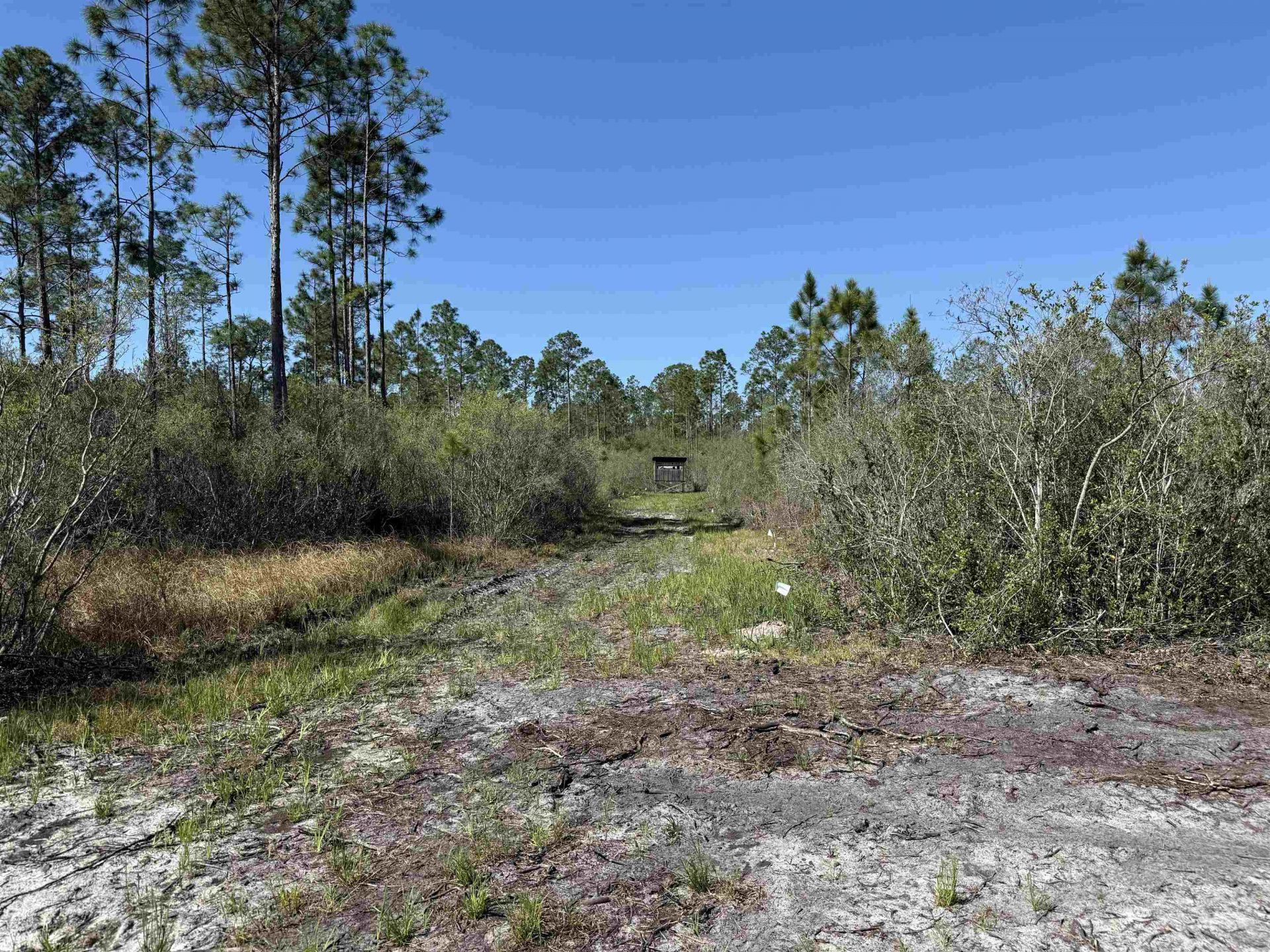 0000 Madison Main Line Road , Greenville, FL 32331 Photo