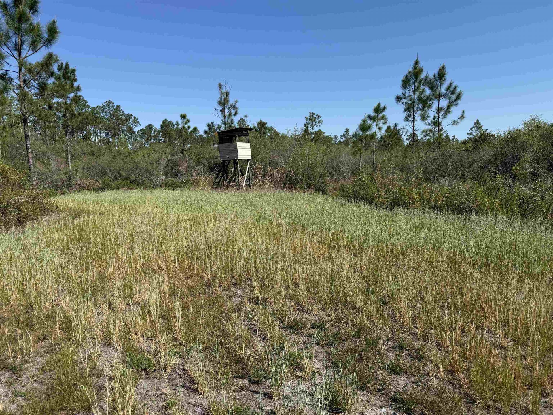 0000 Madison Main Line Road , Greenville, FL 32331 Photo