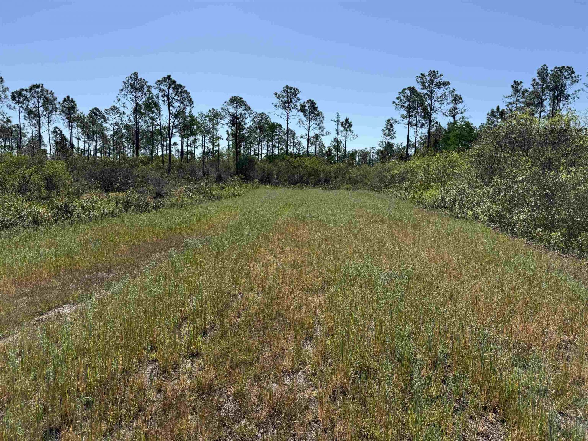 0000 Madison Main Line Road , Greenville, FL 32331 Photo