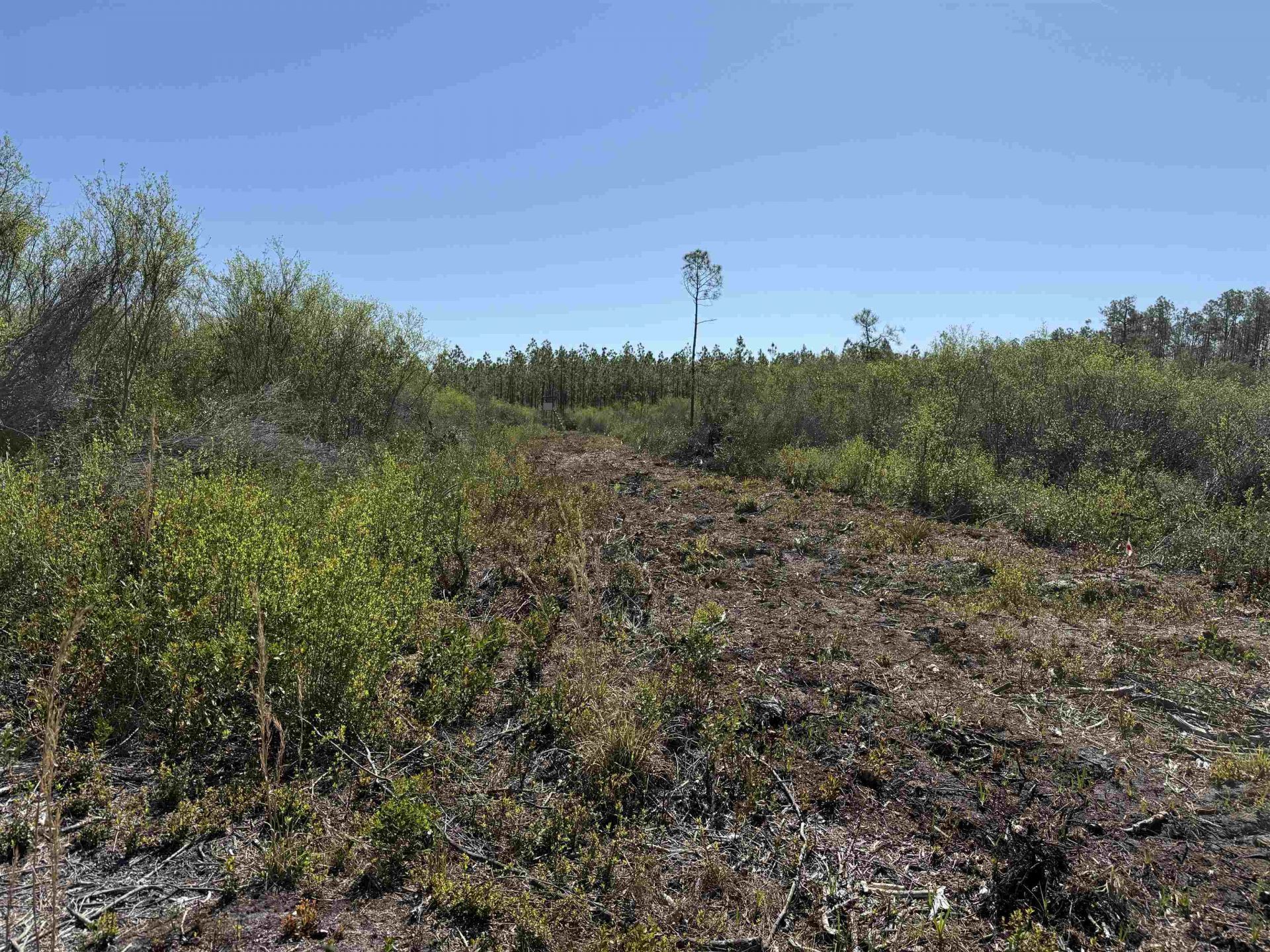 0000 Madison Main Line Road , Greenville, FL 32331 Photo