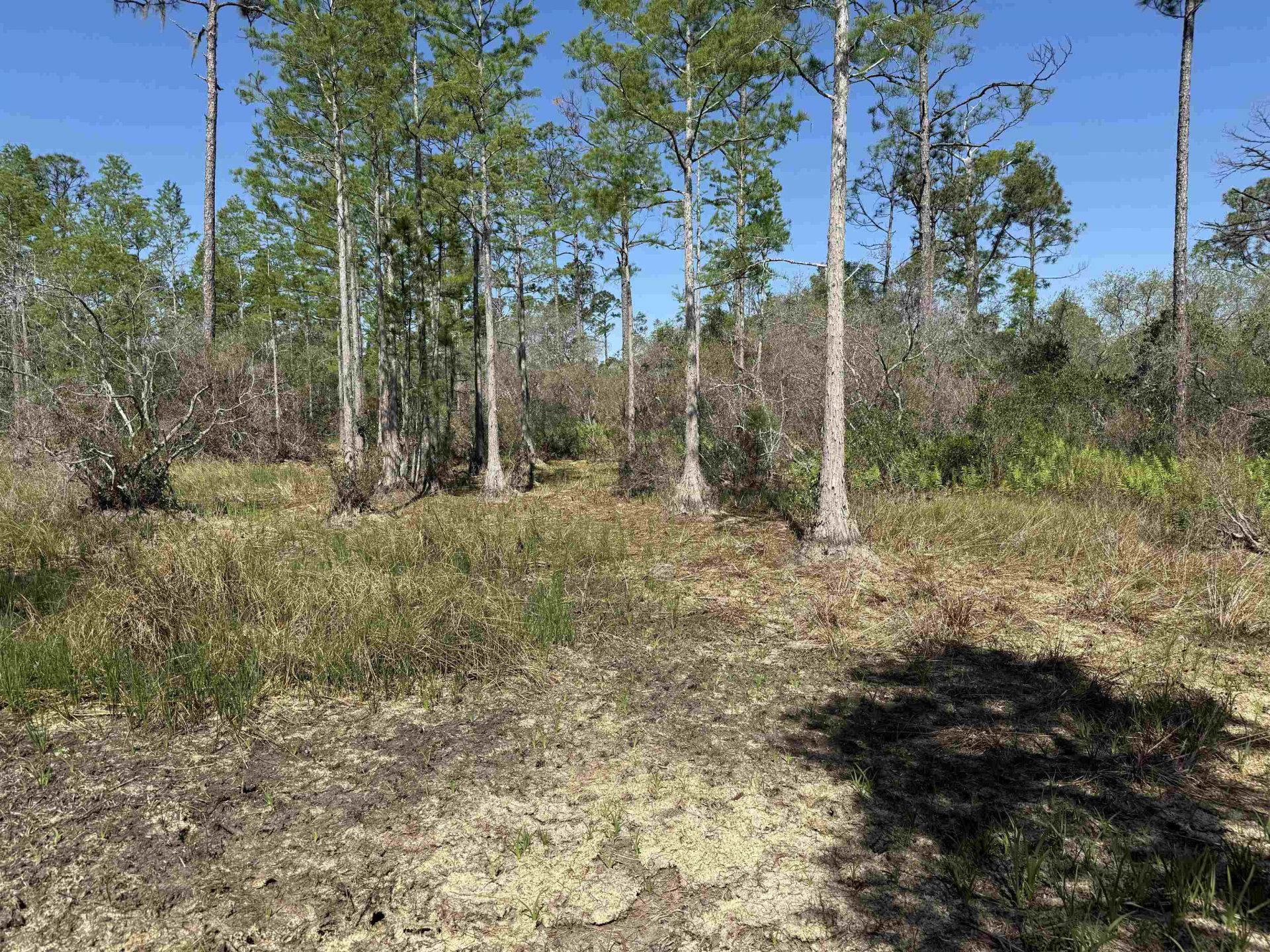 0000 Madison Main Line Road , Greenville, FL 32331 Photo