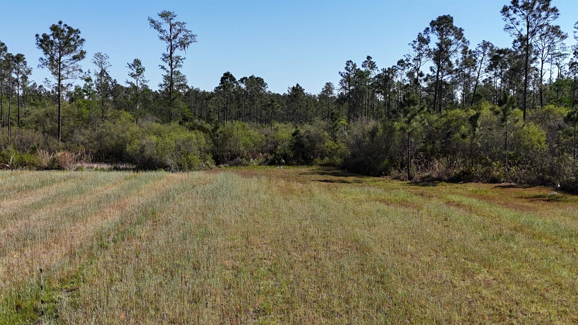 0000 Madison Main Line Road , Greenville, FL 32331 Photo