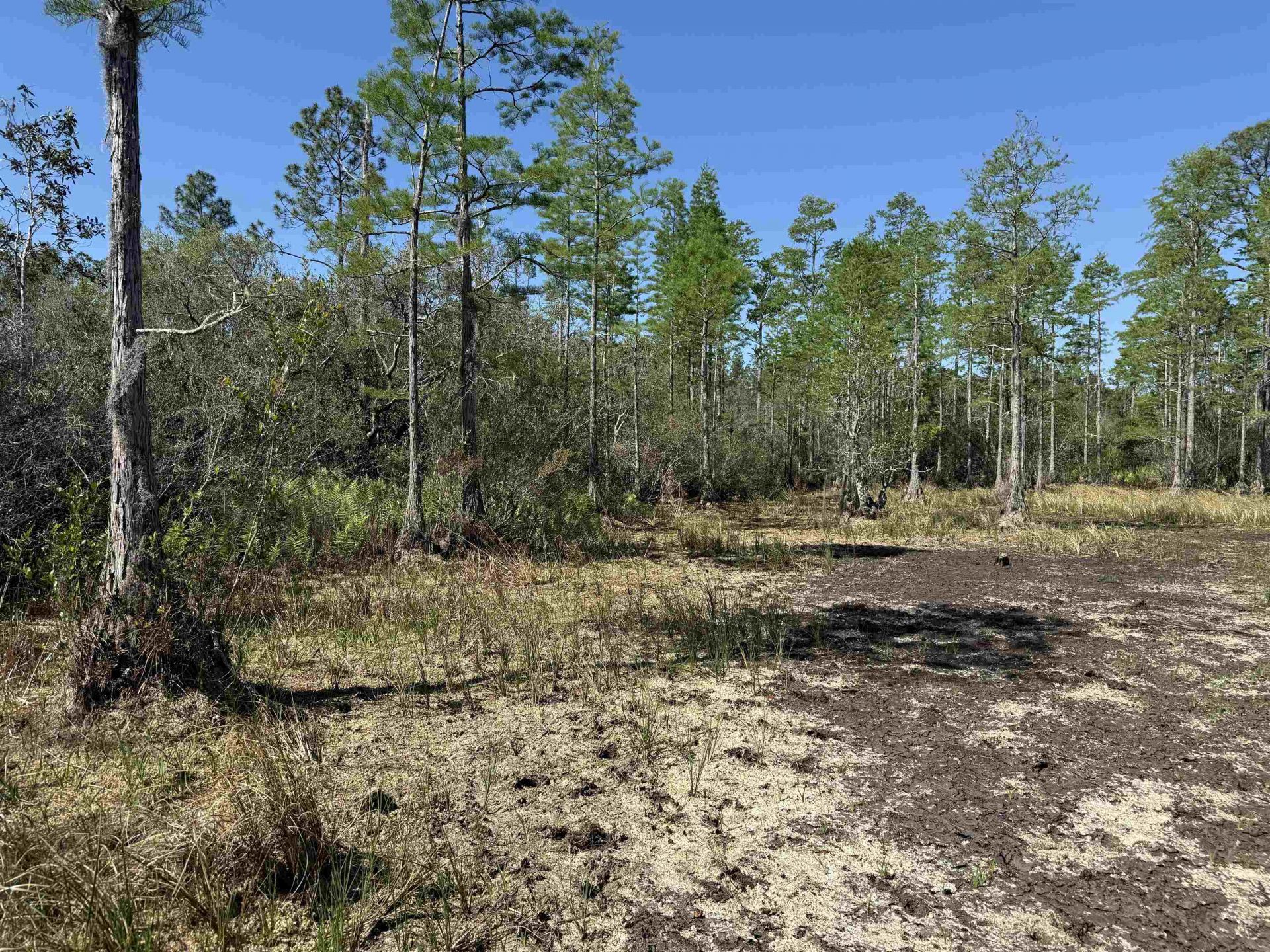 0000 Madison Main Line Road , Greenville, FL 32331 Photo