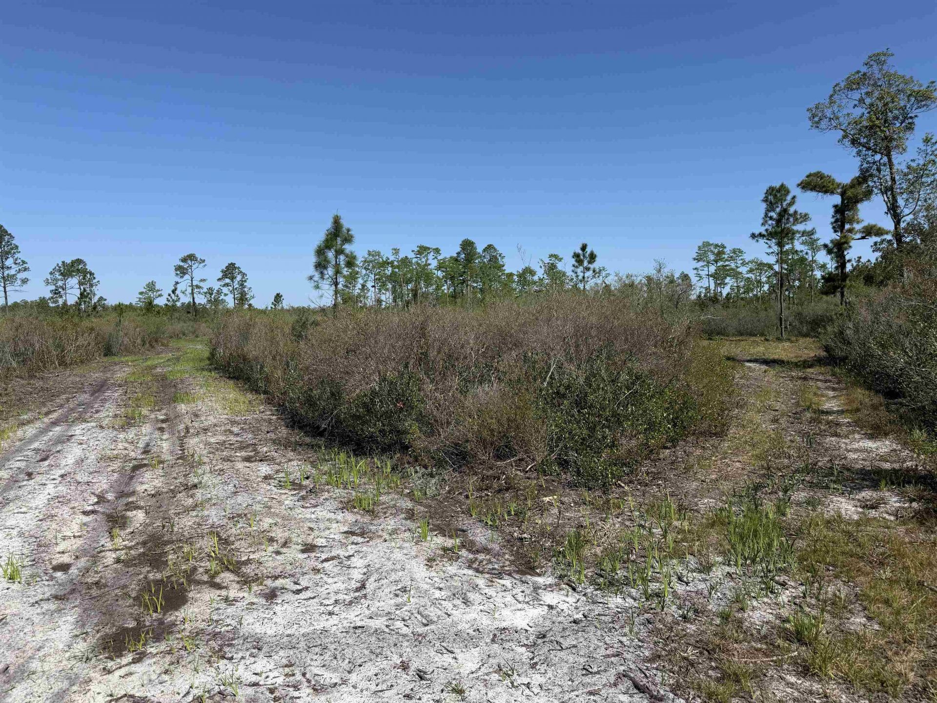 0000 Madison Main Line Road , Greenville, FL 32331 Photo