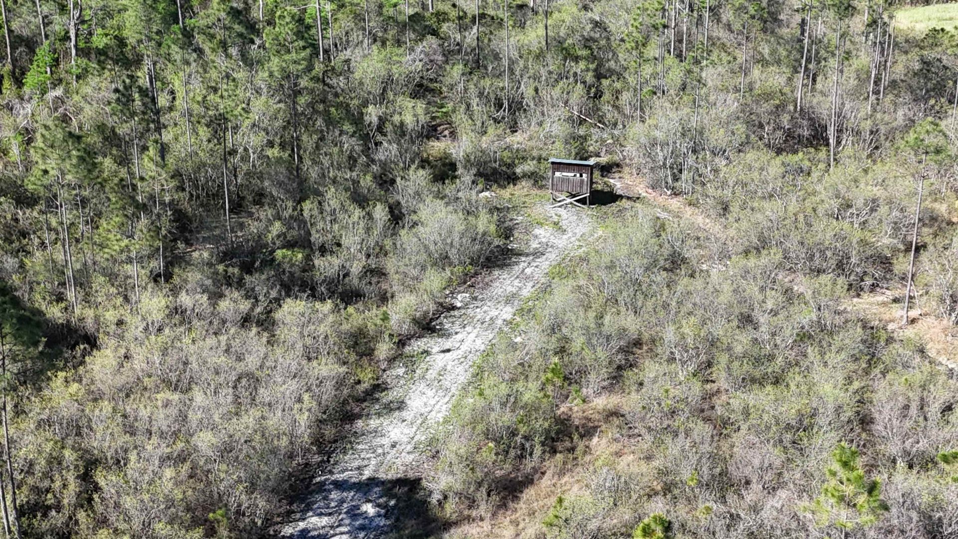 0000 Madison Main Line Road , Greenville, FL 32331 Photo