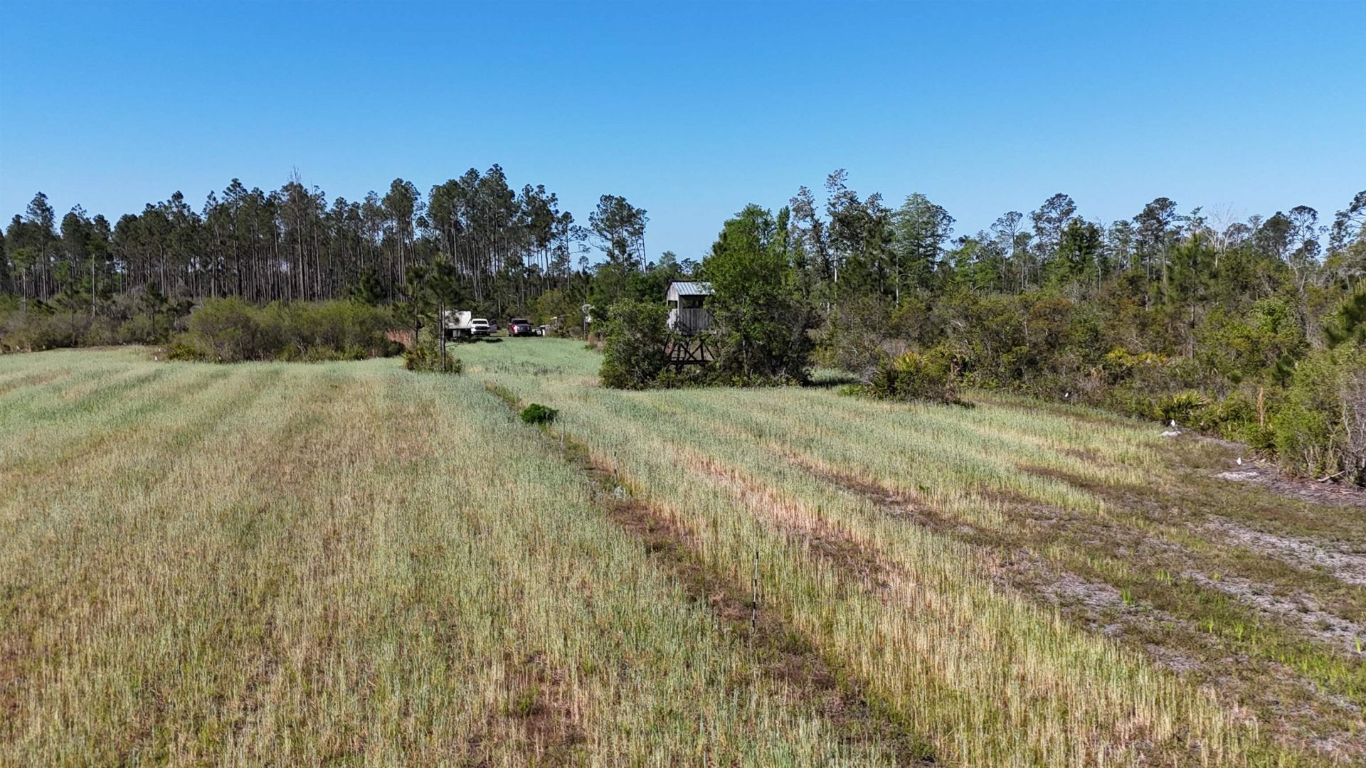 0000 Madison Main Line Road , Greenville, FL 32331 Photo