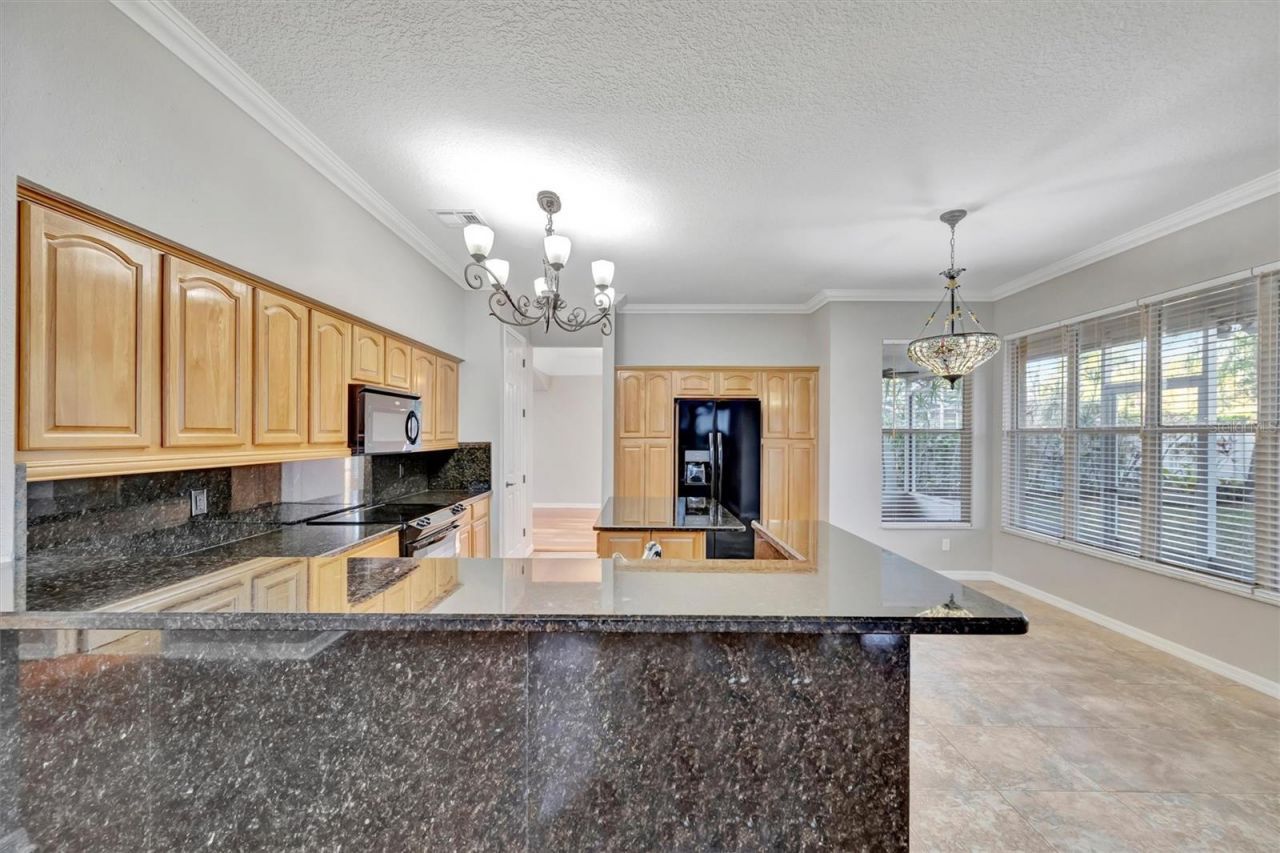 2839 Safe Harbor Drive, Tampa, FL 33618 Photo