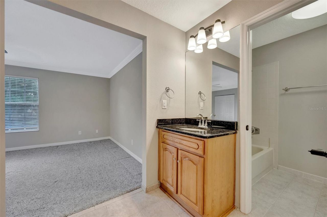 2839 Safe Harbor Drive, Tampa, FL 33618 Photo