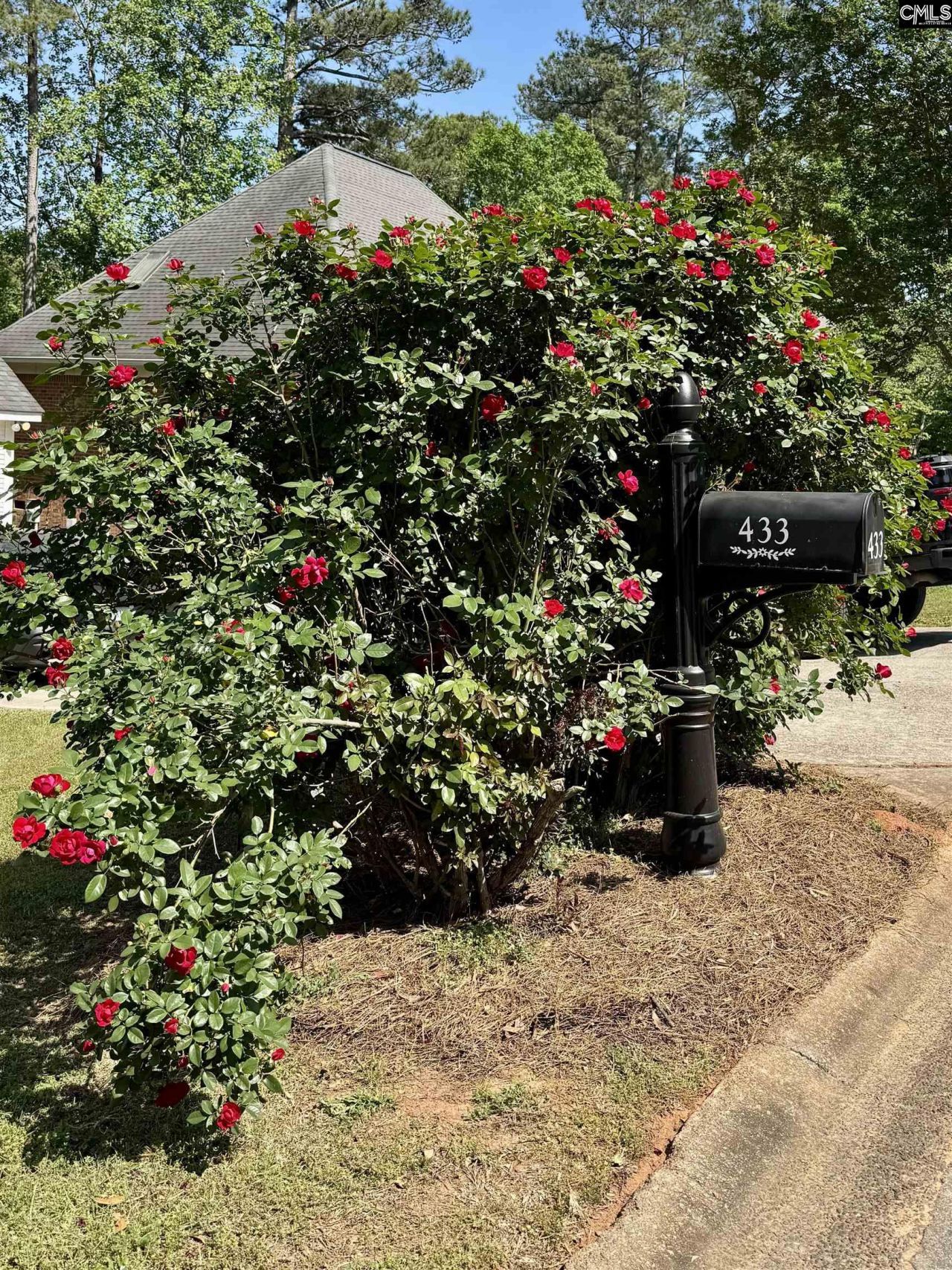 433 Winding Way  Photo 37