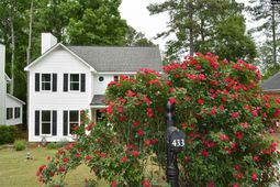 433 Winding Way  photo 4