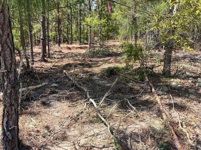 BDF 1 Beaverdam Road , Unit BDF 1, Cassatt, SC 29032