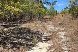 Bdf 1 Beaverdam Road  photo 4