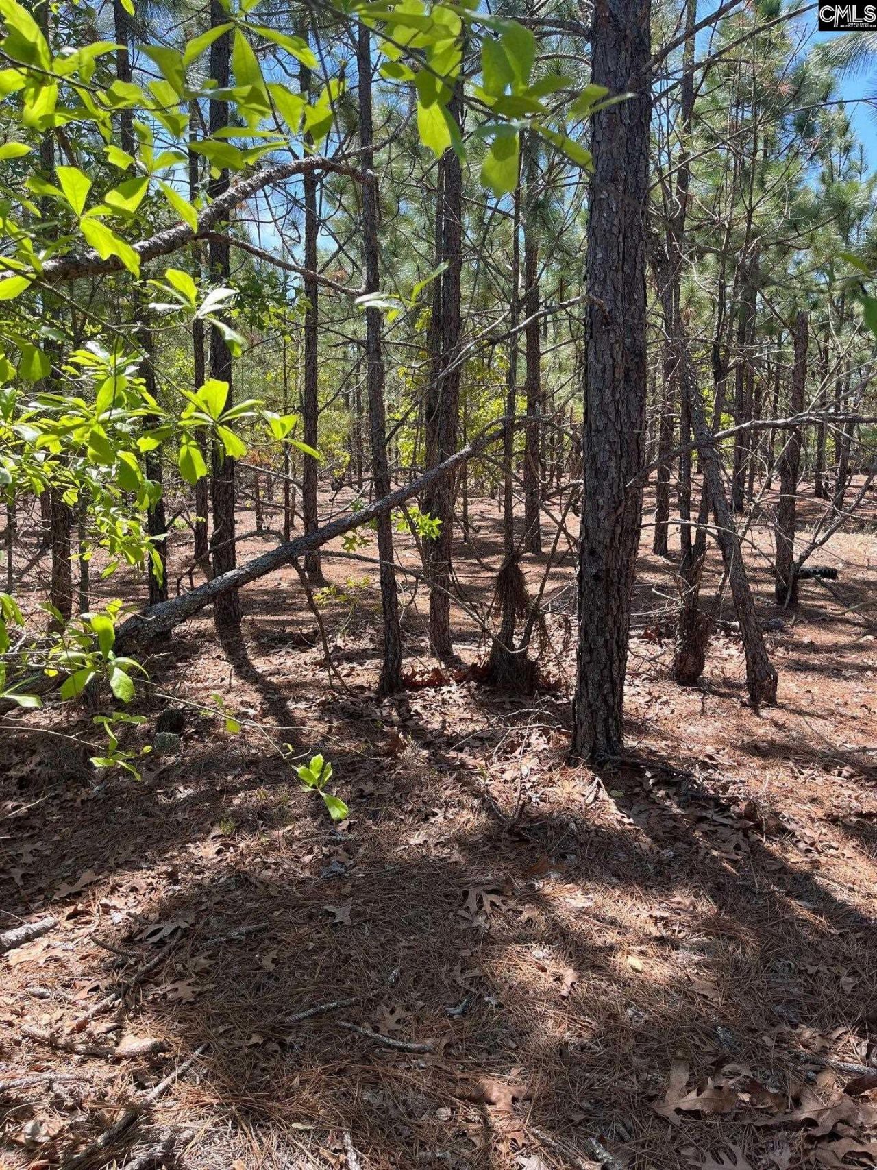 Bdf 1 Beaverdam Road  Photo 4