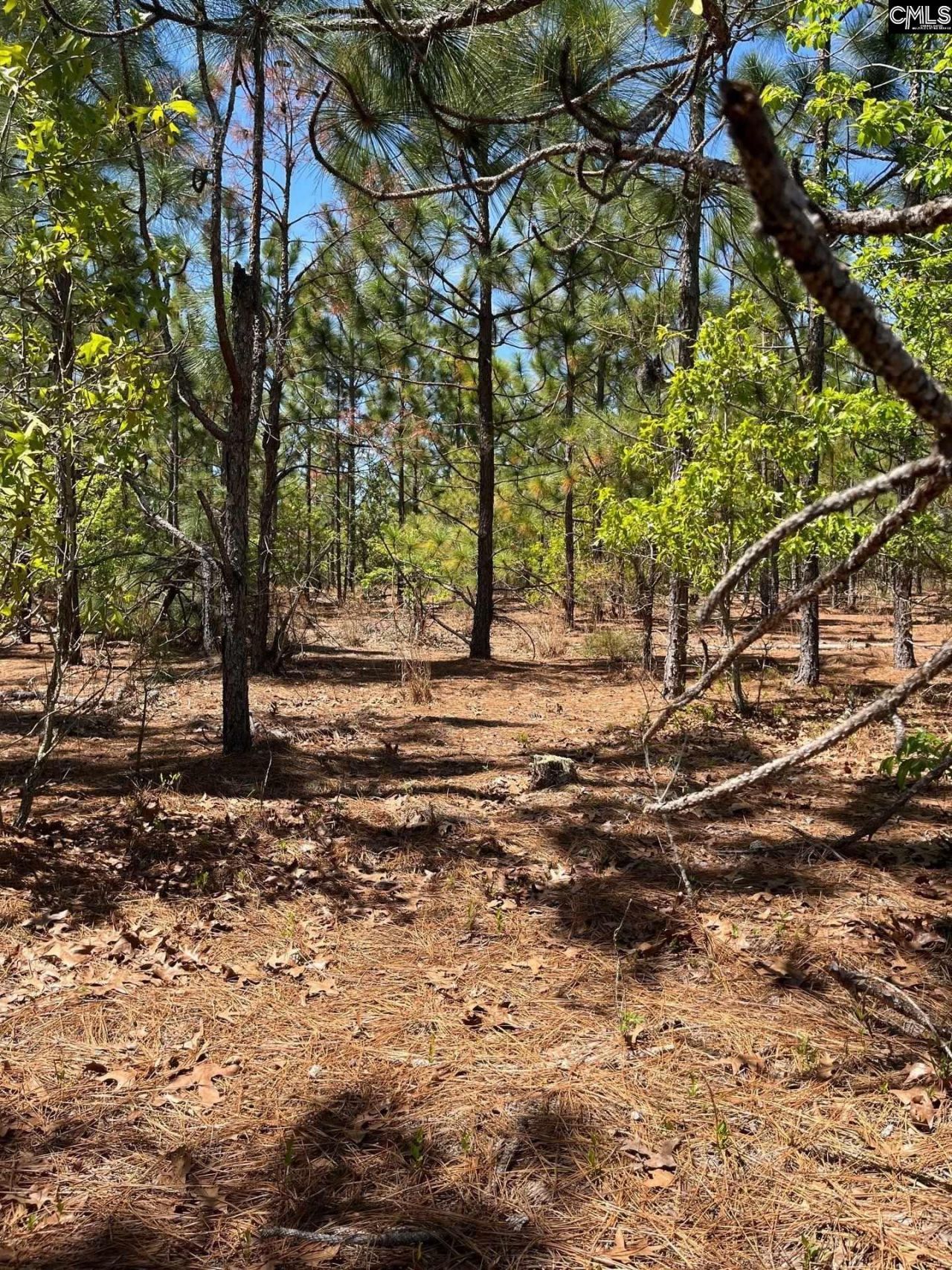 Bdf 1 Beaverdam Road  Photo 5