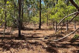 Bdf 1 Beaverdam Road  photo 4