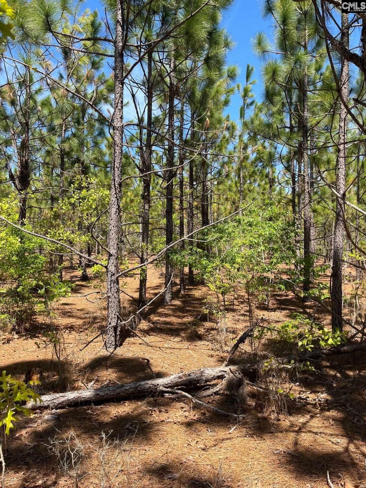 Bdf 1 Beaverdam Road  Photo 6