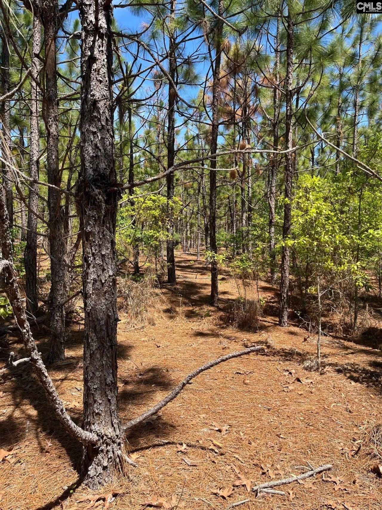 Bdf 1 Beaverdam Road  Photo 7