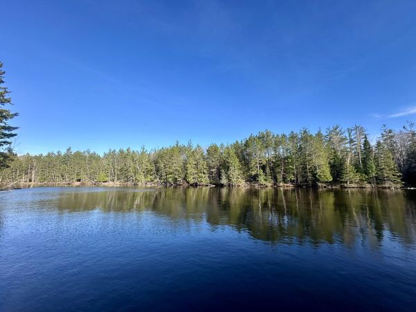 26 AC Connon Road, Hillman, MI 49746