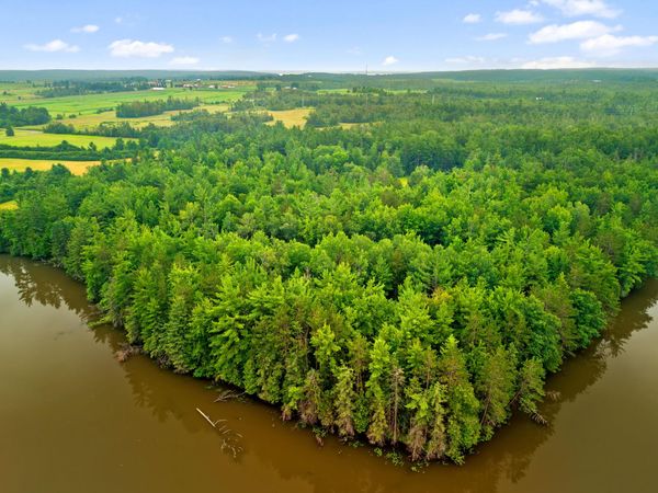26 AC Connon Road, Hillman, MI 49746