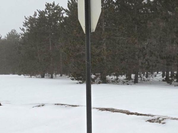 Par A-B Tucker Road, Elmira, MI 49730