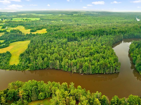 26 AC Connon Road, Hillman, MI 49746