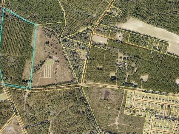 0 Wilma Edwards Road, Ellabell, GA 31308