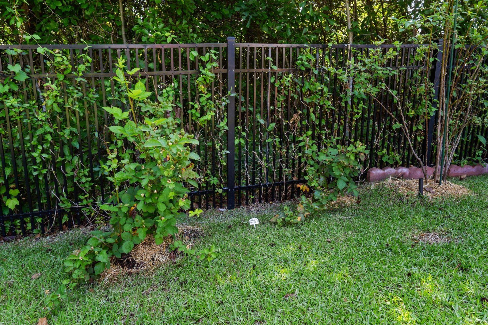 132 Rivers Edge Dr. Photo 50