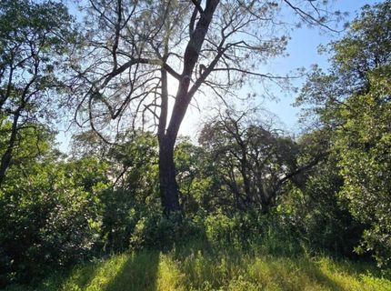 2059  Bell Rd, Auburn, CA 95602 Photo