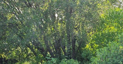 2059  Bell Rd, Auburn, CA 95602 Photo
