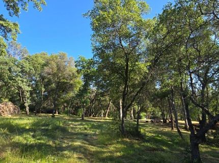 2059  Bell Rd, Auburn, CA 95602 Photo