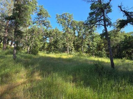 2059  Bell Rd, Auburn, CA 95602 Photo