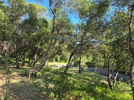 2059  Bell Rd, Auburn, CA 95602 Photo